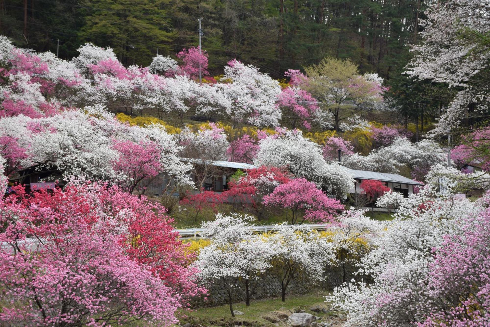 Hotel Yamabuki Komagane Εξωτερικό φωτογραφία